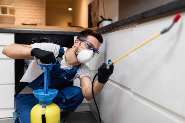 Reliable Cold Springs, NV Pest Control Solutions