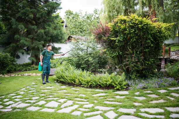 Best Pest Prevention Services  in Cold Springs, NV