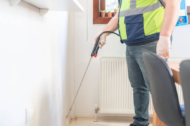 Best Wasp Removal Services  in Cold Springs, NV