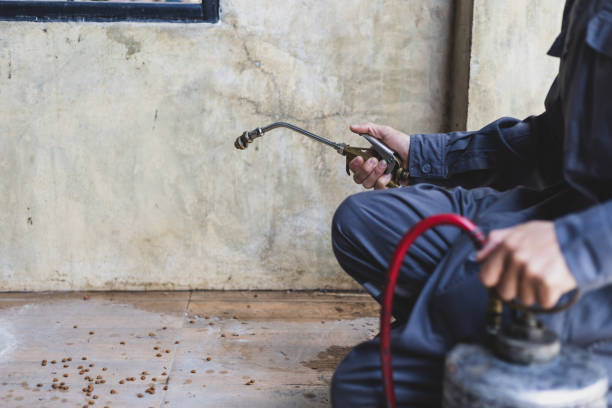 Best Mosquito Control Services  in Cold Springs, NV